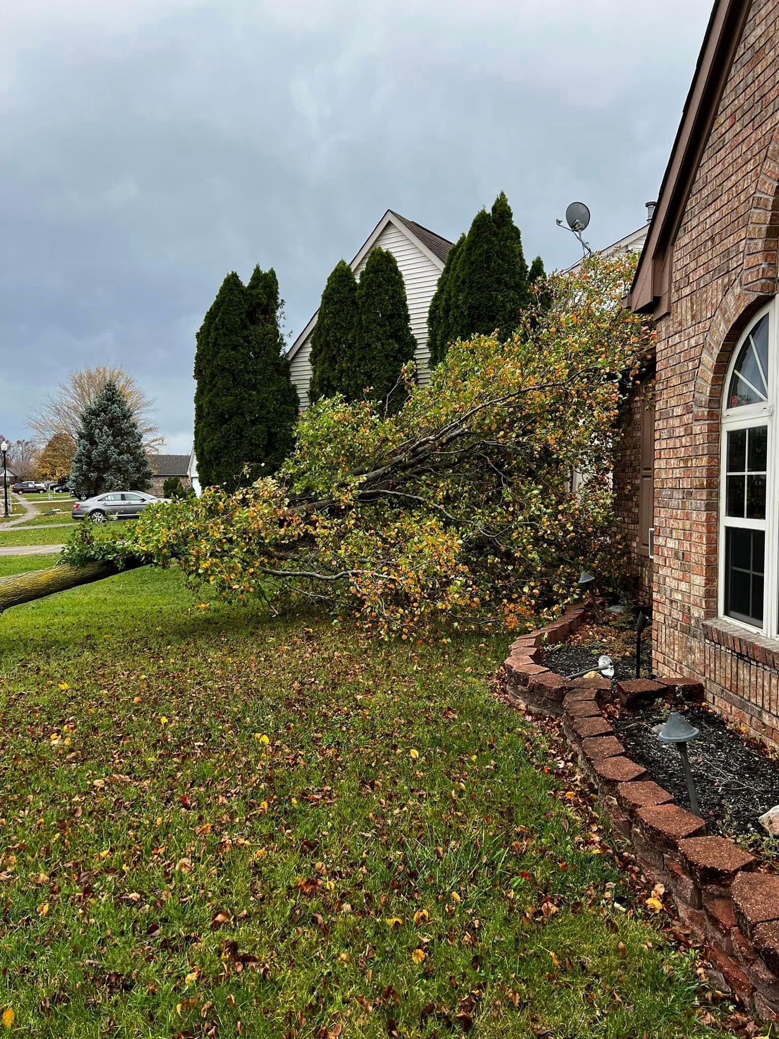 Cleanup job photo 4